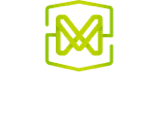 The Motz Group
